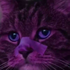 Avatar für Ghostpoptapee99