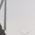 Avatar for xvep