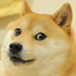 Avatar for xMESx92