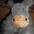 Avatar for vavavroum