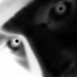 Avatar for molotov2con