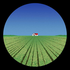 Avatar for marcusnguyen24