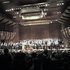 Colin Davis: London Symphony Orchestra için avatar