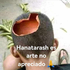 Avatar for sekoboyakaputa