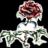 Avatar for Sab00s