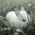 Avatar for warmwntr
