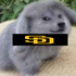 Avatar for trevistan