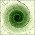 Avatar for tokoorama
