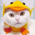 Avatar for manicmidget