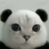 Avatar for slowdiveszn