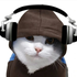 Avatar for nadamustlive