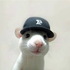 Avatar for qwhik
