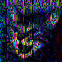 Avatar di argyleHumbucker
