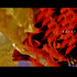 Avatar für breathecomp