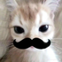 Avatar for My_mora