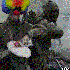 smyth_ish için avatar