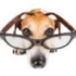 Avatar di Lollosz