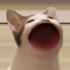 Avatar for wetsock127