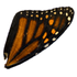 Avatar for eurisko97