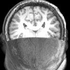 Avatar for cephaloid
