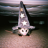 Avatar for nora-rose06