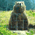Avatar for coalescence-
