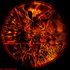 Avatar for Reinhalter_666