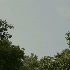 Avatar for cln18