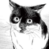 Avatar for StrayYoru