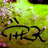 Avatar for Pilek1