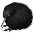 Avatar for syymza
