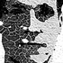 Avatar for ectomorfo