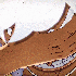 Avatar for JonahYonko999