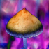 Avatar di Ziel4rz