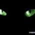 Avatar di HecateMX