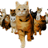Avatar for cykalogyst