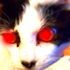 Avatar for LisbethNaito