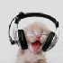 Avatar for the_idiotic_kid