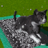 Avatar for maltosp