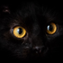 Avatar for Janick_666