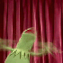 Avatar di willkr07