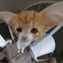 Avatar di JacobBruhMcNab
