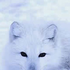 Avatar for Whisper_666