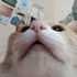 Avatar for aphexdoom