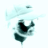 Avatar for teddygr