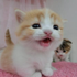 Avatar de kittiistarzz