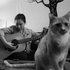 Avatar di Mitski