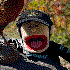 Avatar for htutb