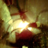Avatar de perill_kerseg