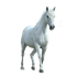Avatar for amberrr5678